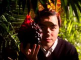TheFruitHunters-1