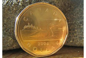 loonie