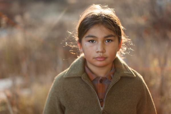 indian horse