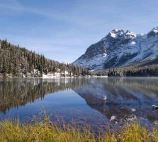 alberta pic