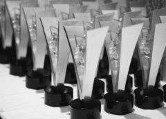 leo awards