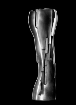 iris-award