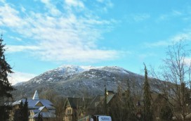 whistler