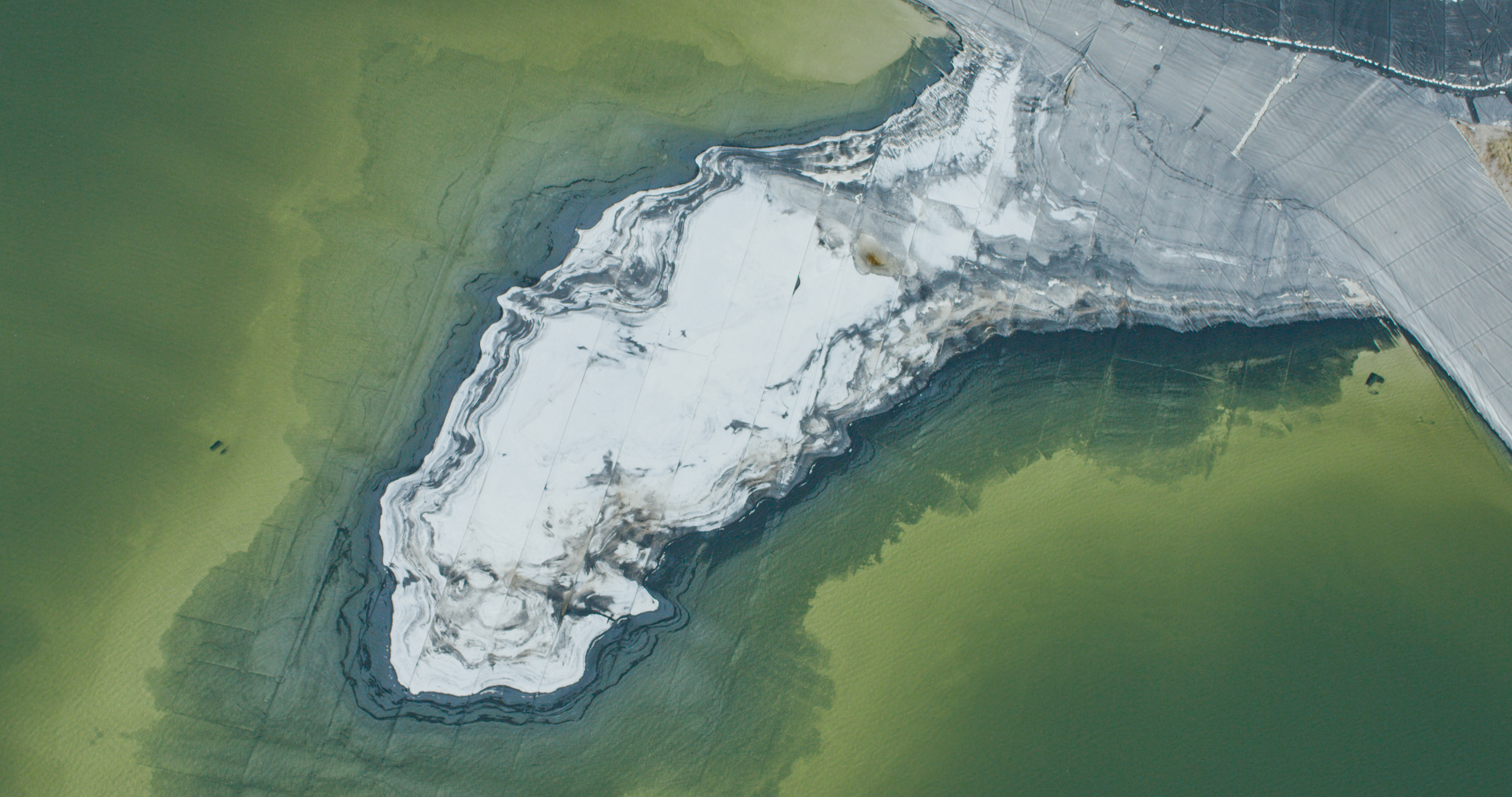 Photo courtesy of Anthropocene Films Inc