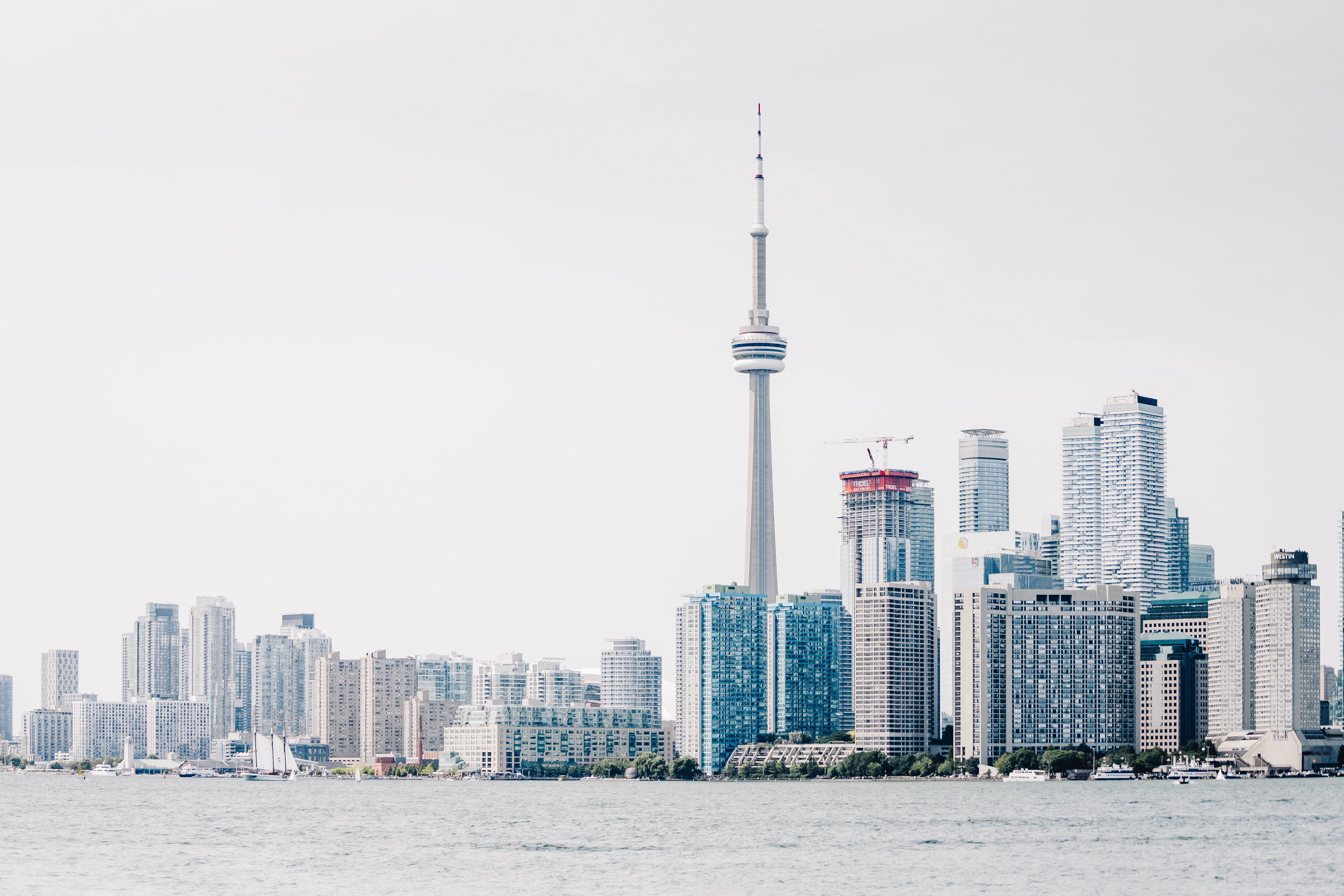 Photo by Scott Webb on Unsplash