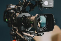 photo by vanilla bear films on unsplash