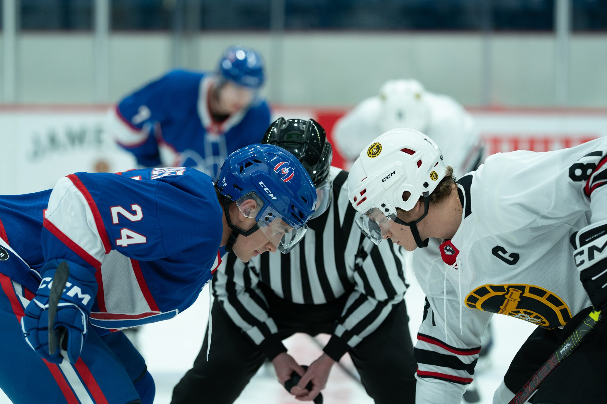 Cleated Rivalry Heated Rivalry success bookends Crave’s big year » Playback